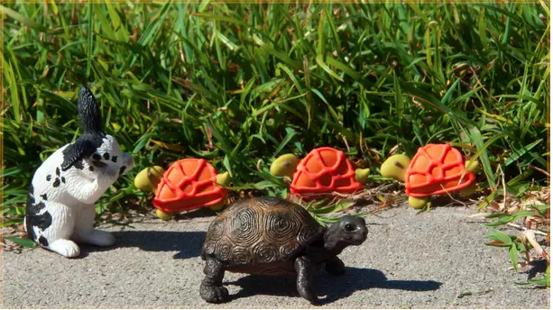Hare and Tortoise