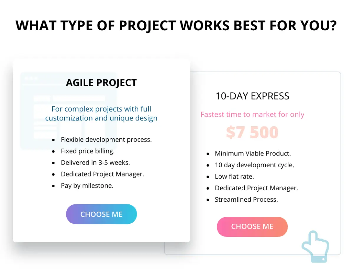 Zeroqode project type selection with Agile and 10-Day Express options.