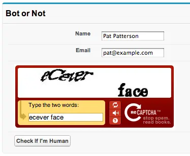 Salesforce Web-to-Lead Form showing CAPTCHA verification process.