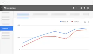 Google Ads campaign performance showing clicks and costs over time.